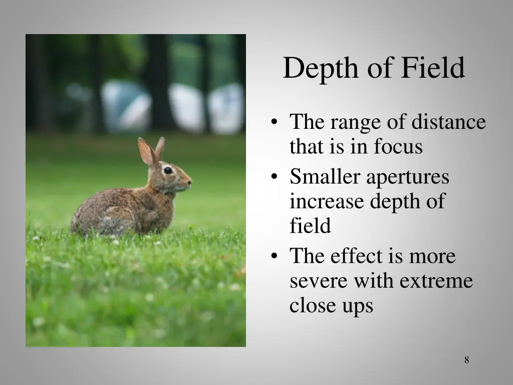 depth of field