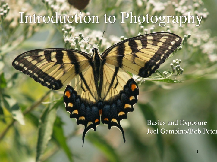 introduction to photography