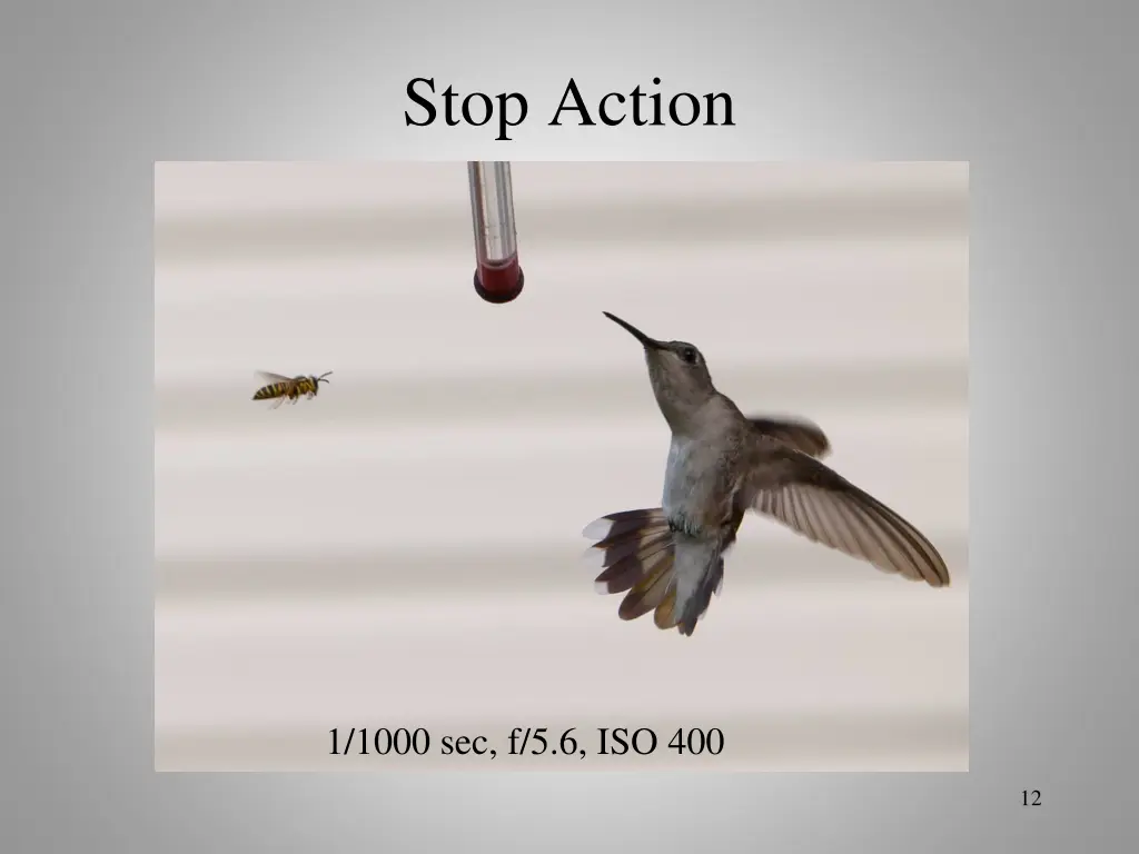 stop action