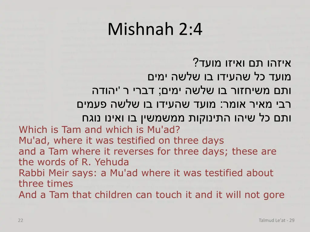 mishnah 2 4