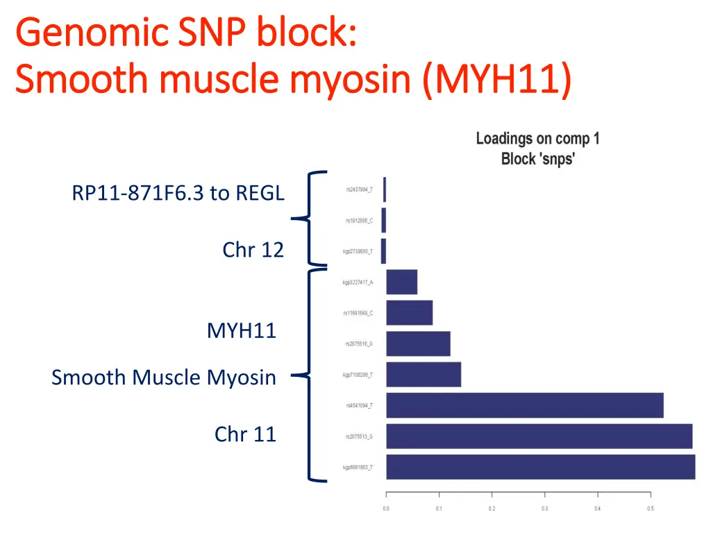 genomic snp block genomic snp block smooth muscle