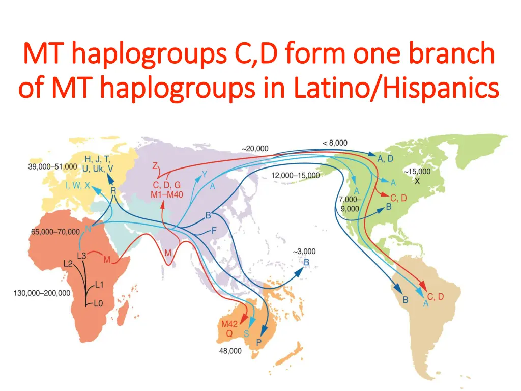 mt mt haplogroups haplogroups c d form one branch