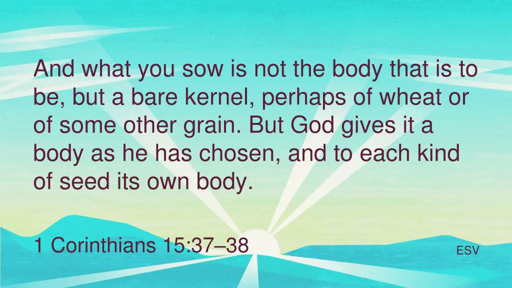 and what you sow is not the body that