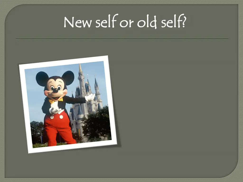 new self or old self new self or old self