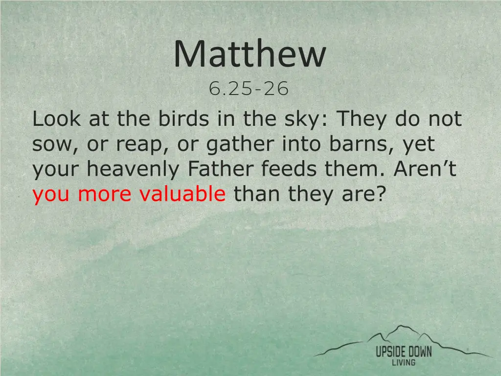 matthew 6 25 26 1