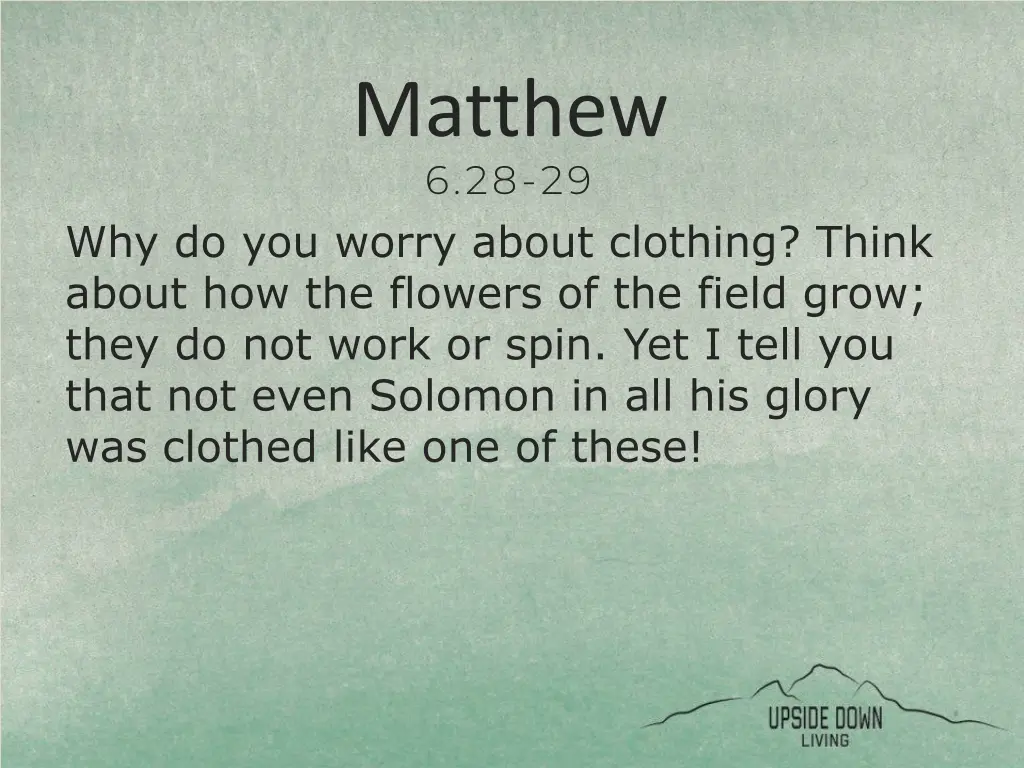 matthew 6 28 29