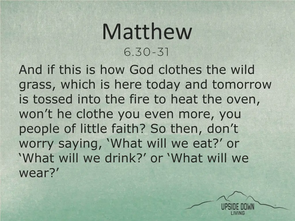 matthew 6 30 31