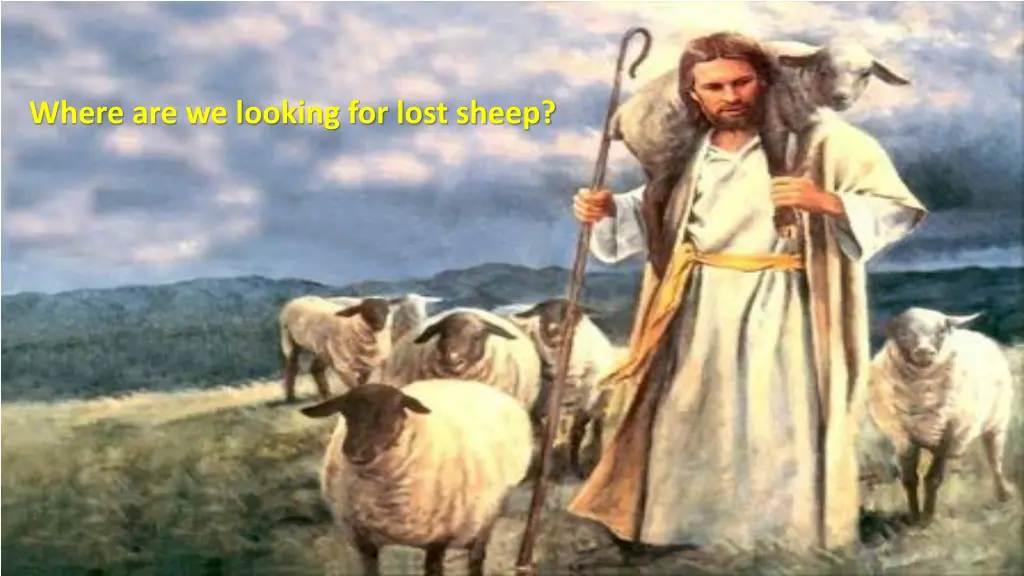 where are we looking for lost sheep