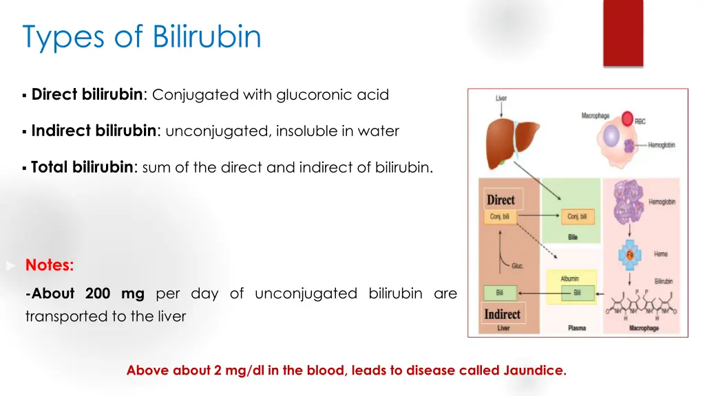 types of bilirubin