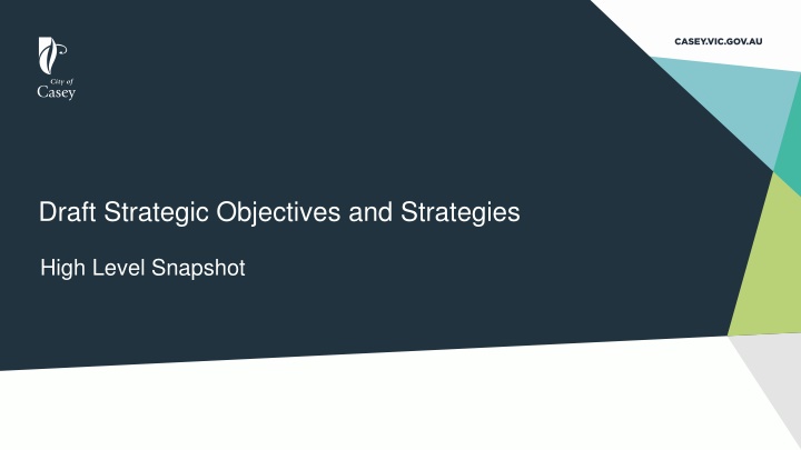 draft strategic objectives and strategies