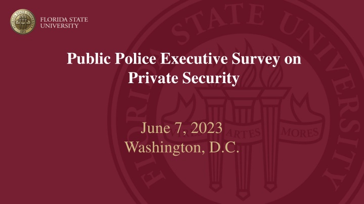 public police executive survey on private security