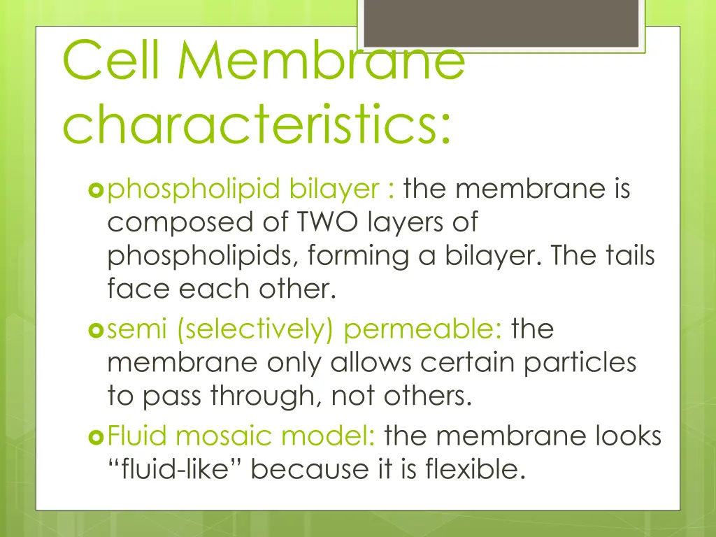 cell membrane characteristics