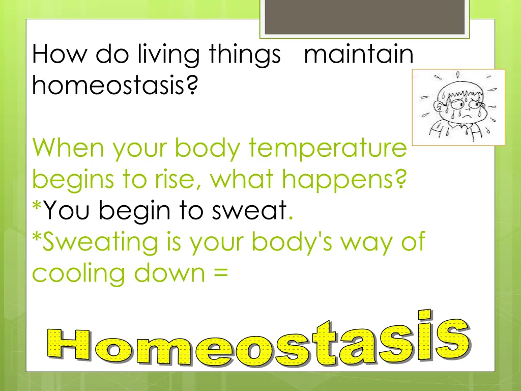 how do living things maintain homeostasis