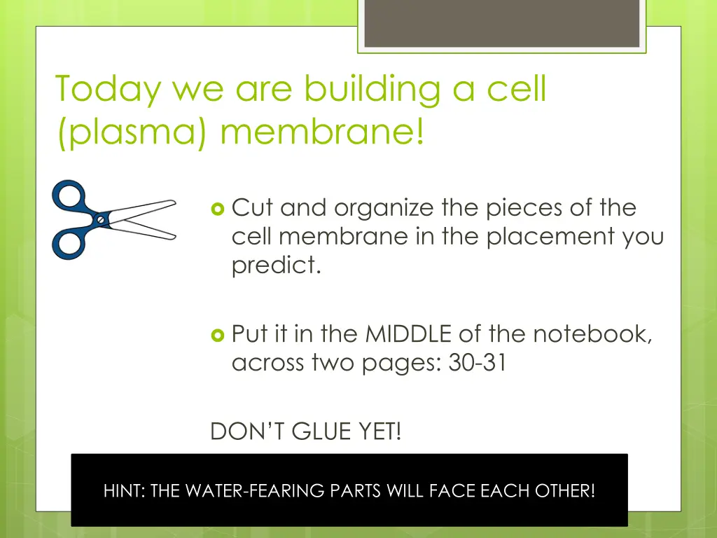 today we are building a cell plasma membrane