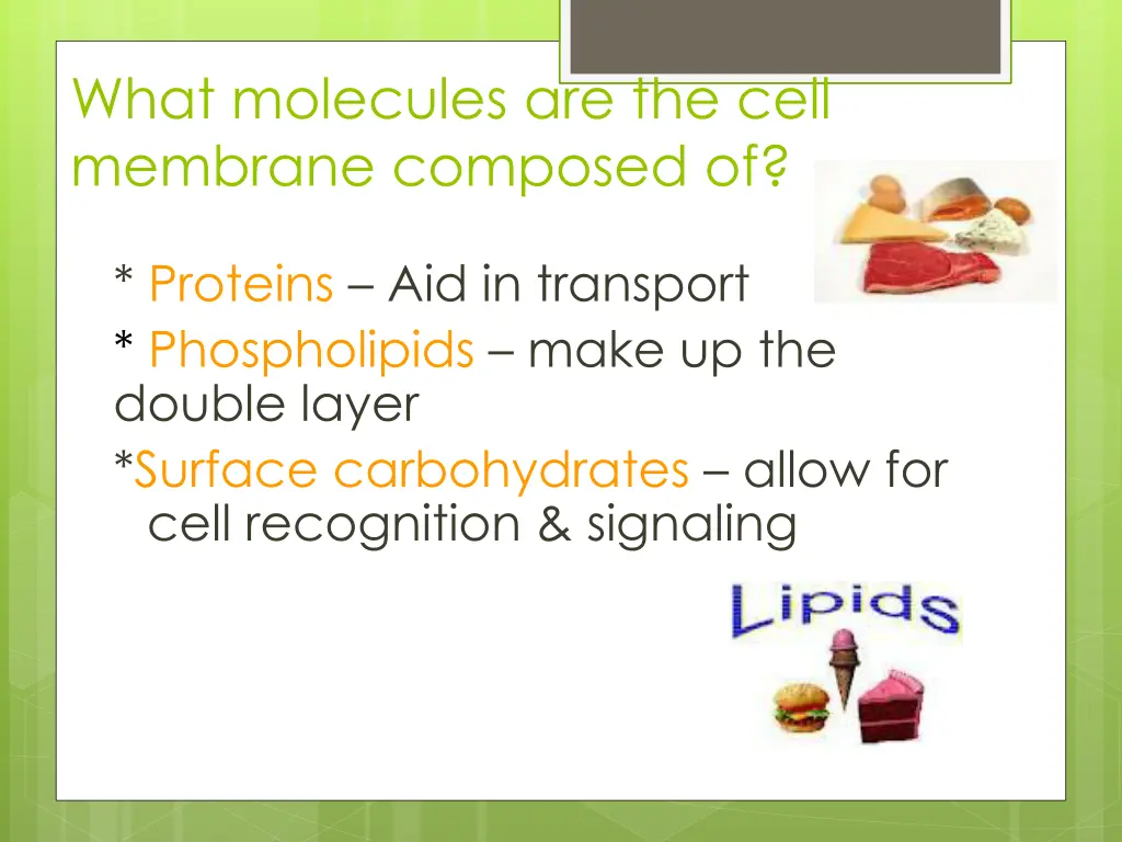 what molecules are the cell membrane composed of