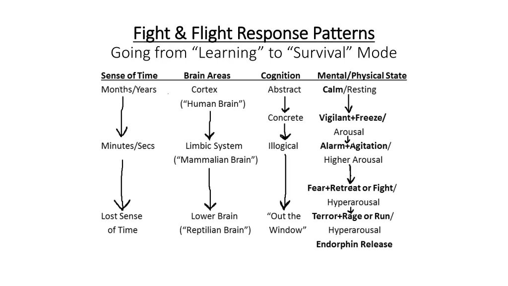 fight fight flight response patterns flight