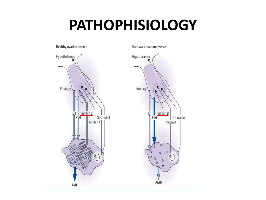 pathophisiology 2