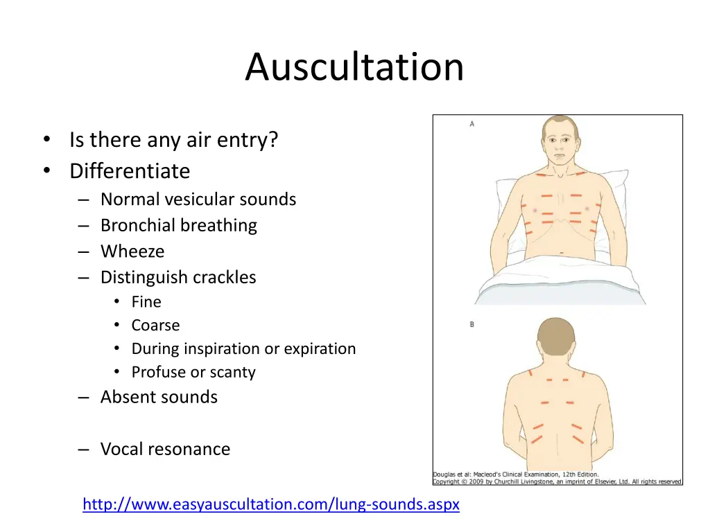 auscultation