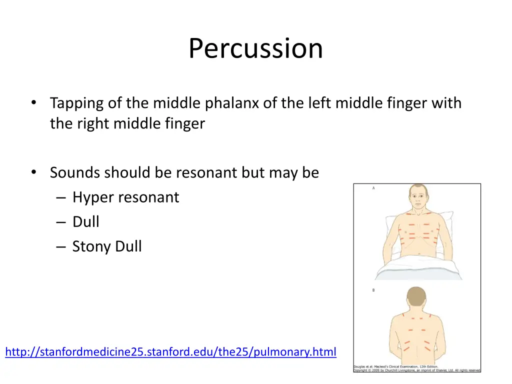 percussion