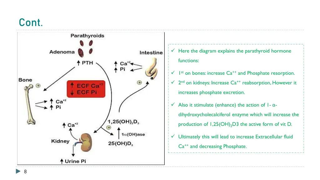 slide8