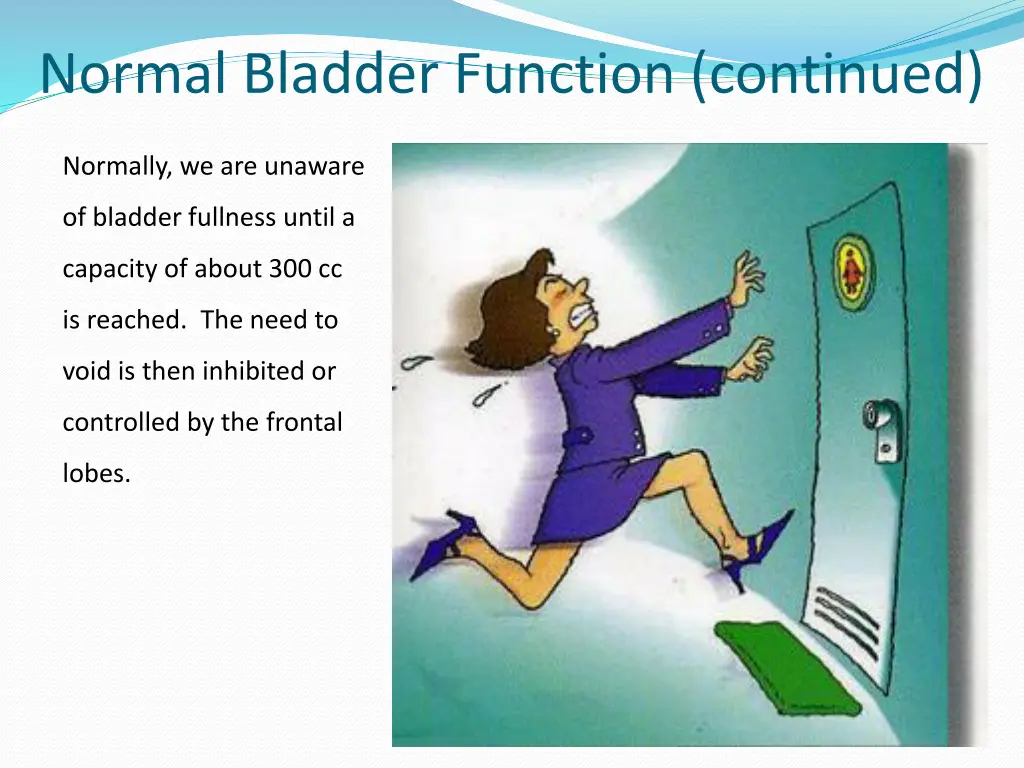 normal bladder function continued 1