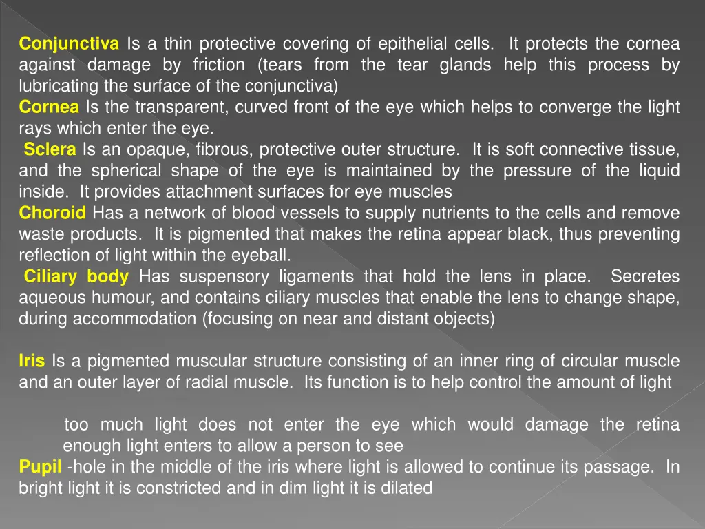 conjunctiva is a thin protective covering