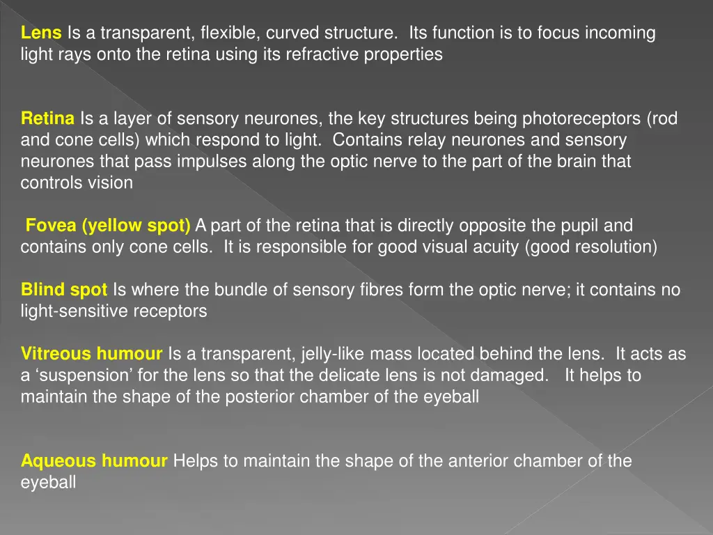 lens is a transparent flexible curved structure