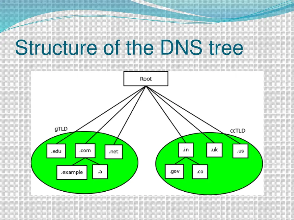 structure of the dns tree