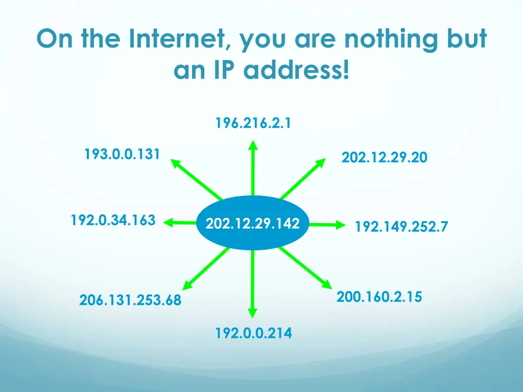 on the internet you are nothing but an ip address 1