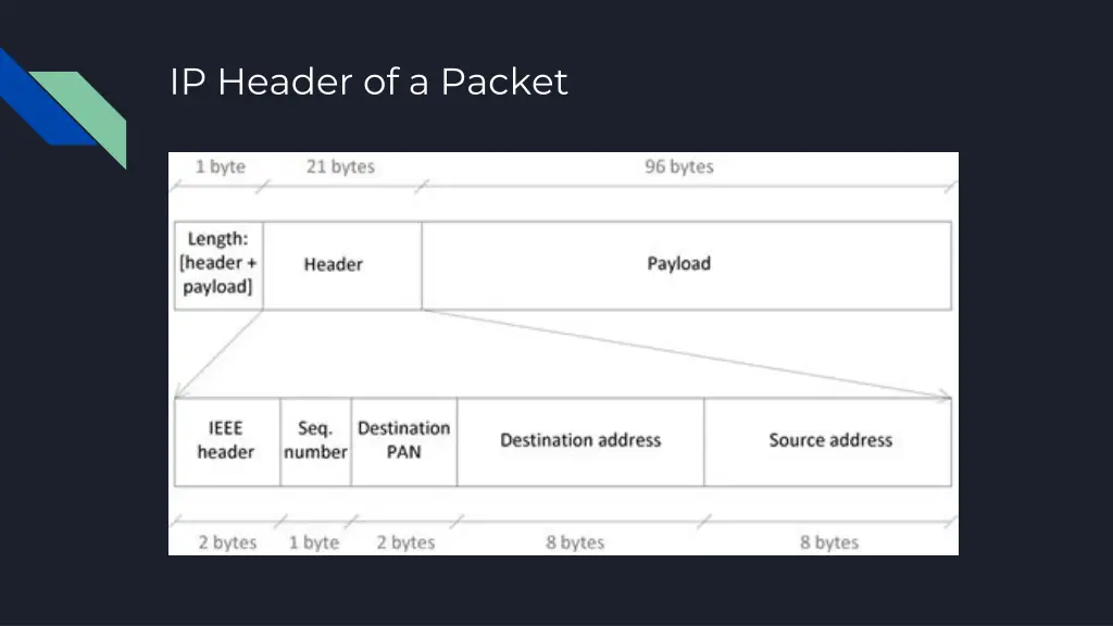 ip header of a packet