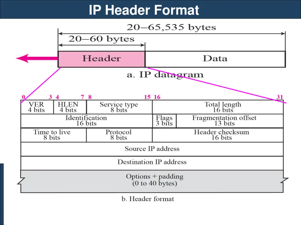 ip header format