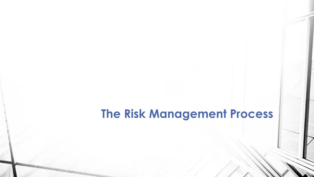 the risk management process