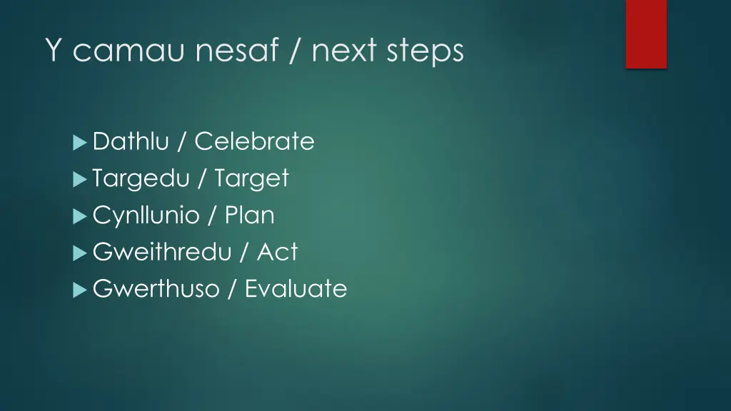 y camau nesaf next steps