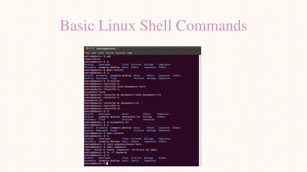 basic linux shell commands