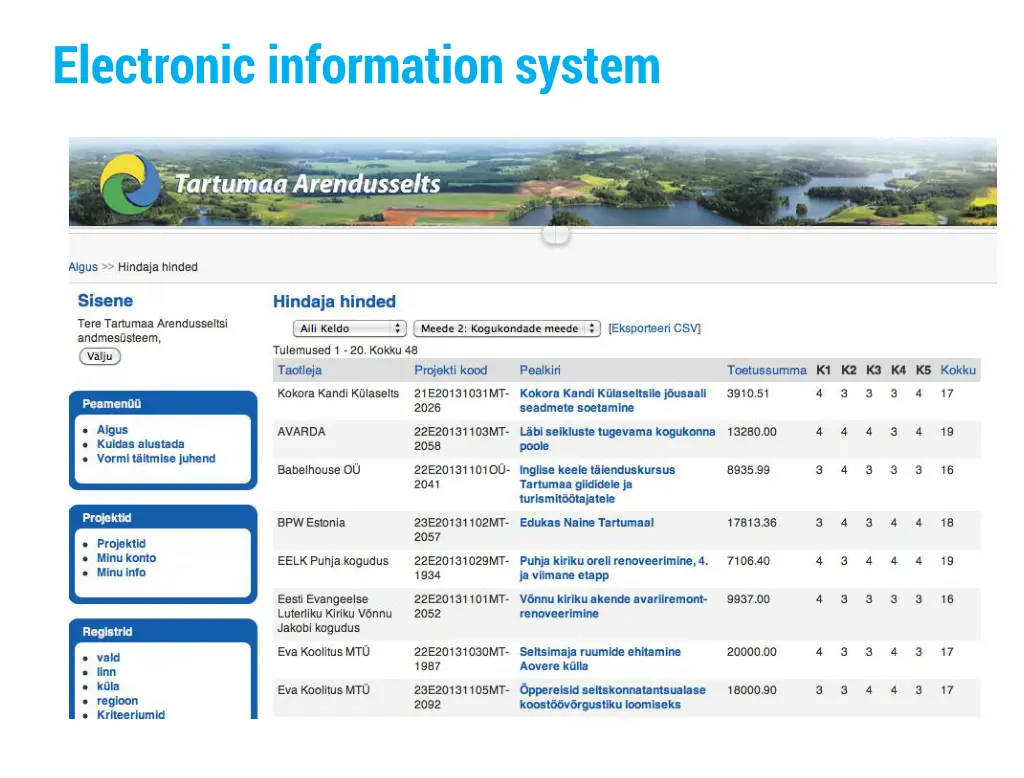 electronic information system