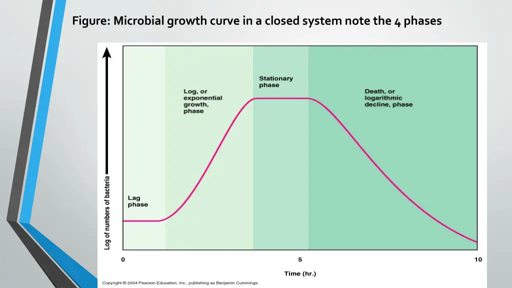 figure microbial growth curve in a closed system