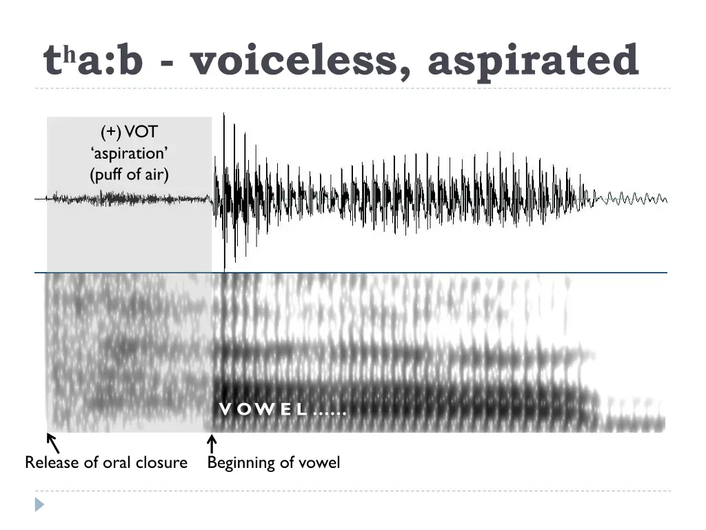 t a b voiceless aspirated