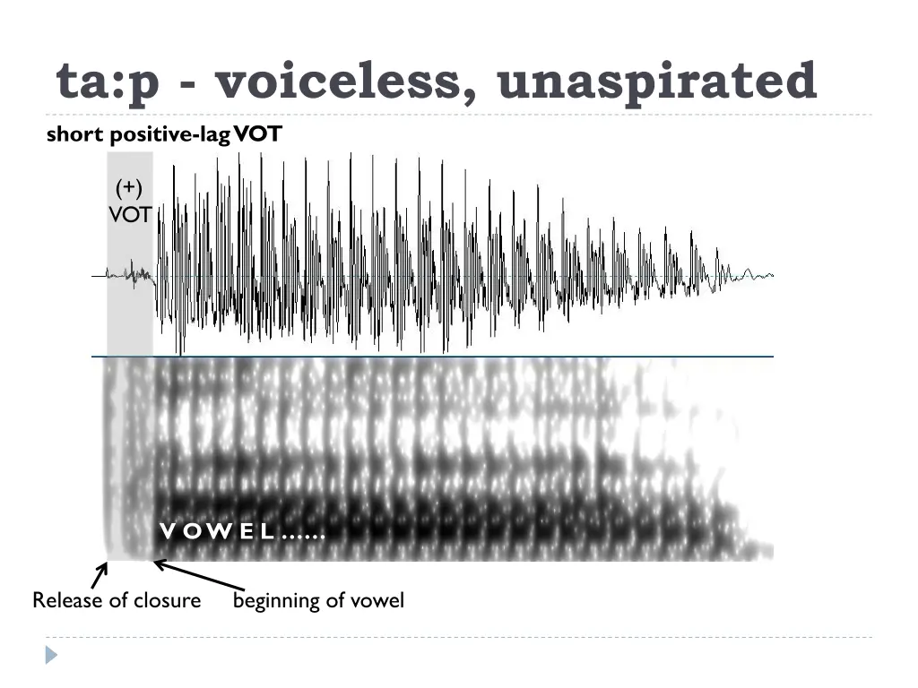 ta p voiceless unaspirated short positive lag vot