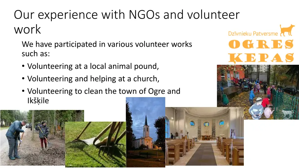 our experience with ngos and volunteer work