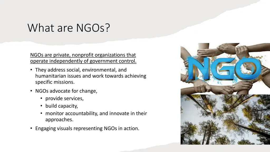 what are ngos