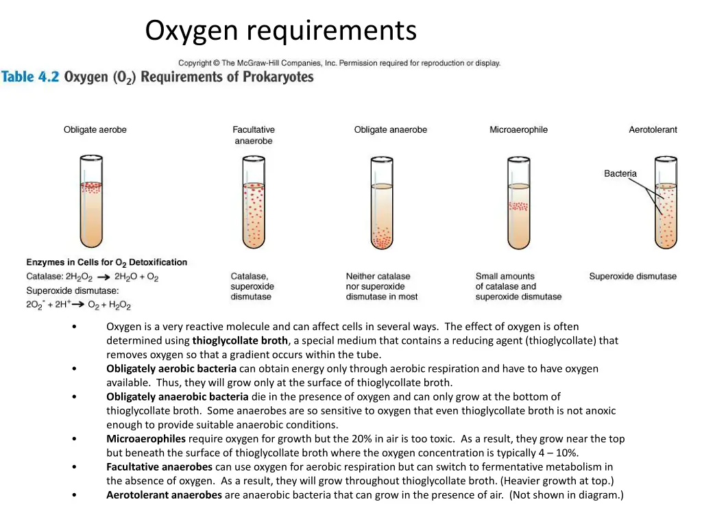 oxygen requirements