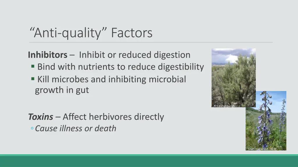 anti quality factors 1