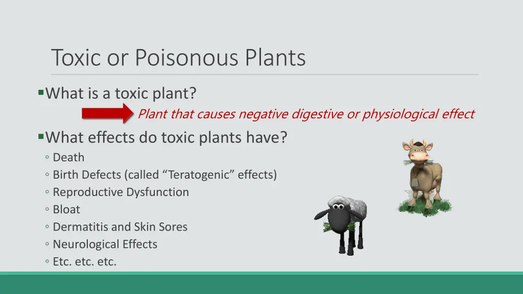 toxic or poisonous plants