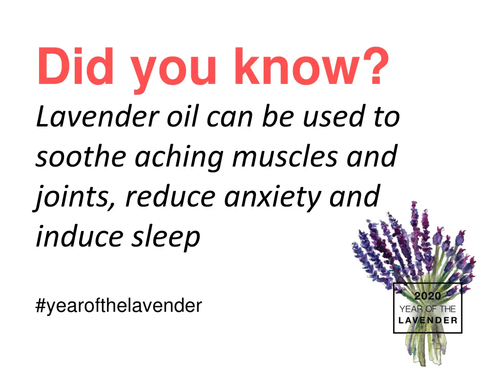 did you know lavender oil can be used to soothe