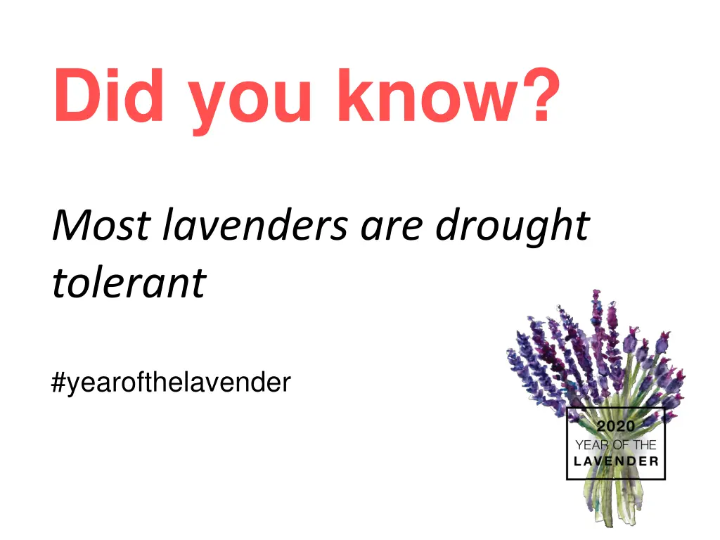 did you know