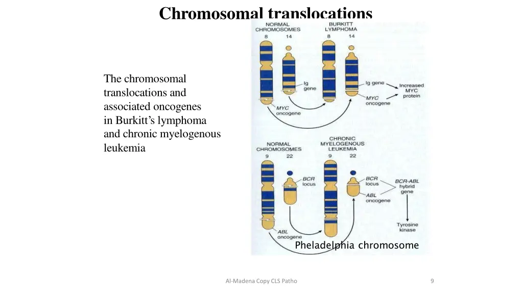 chromosomal translocations