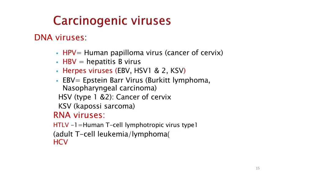 dna viruses