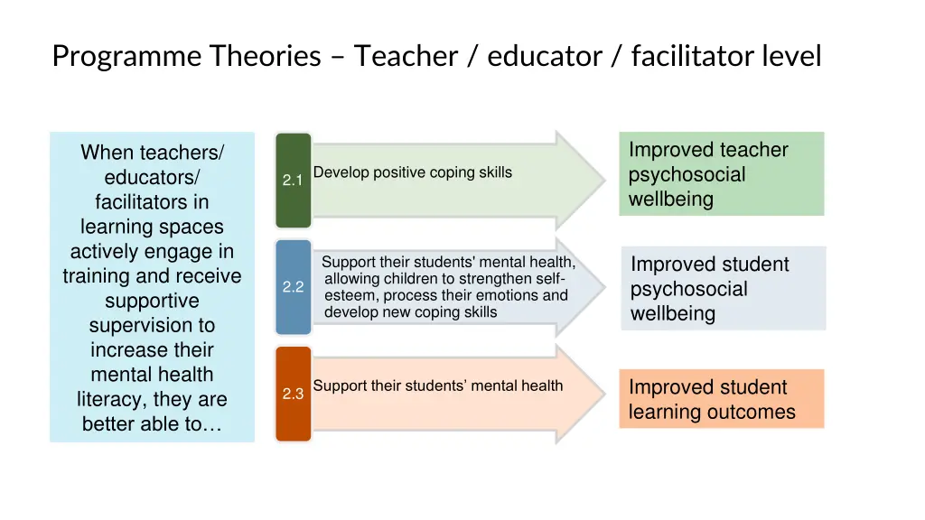 programme theories teacher educator facilitator