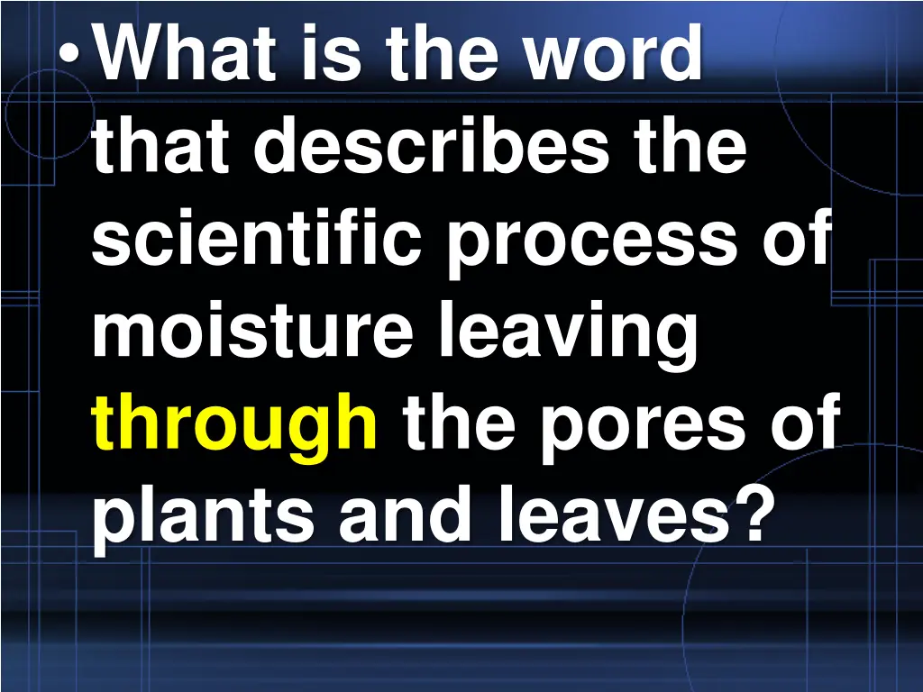 what is the word that describes the scientific