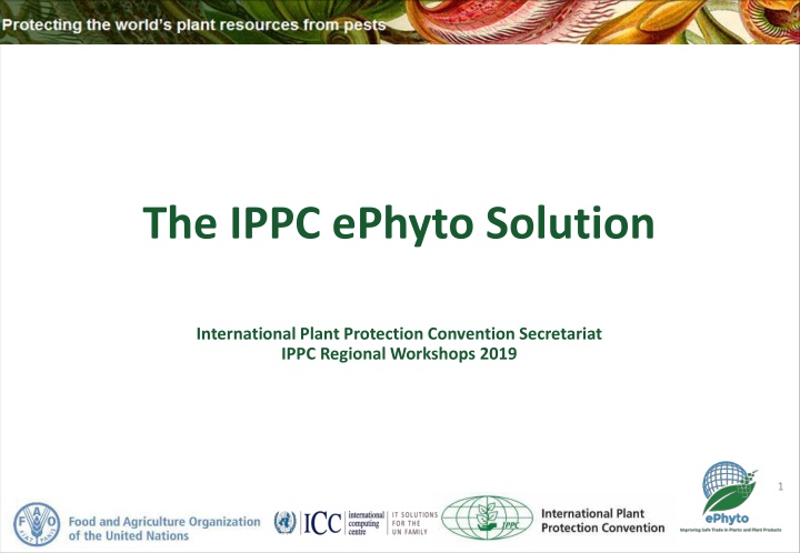 the ippc ephyto solution